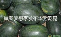 嵐圖夢(mèng)想家發(fā)布華為乾崑智駕新版型，價(jià)格35.99萬元起