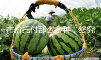市價(jià)托付那么多種，終究怎樣用？