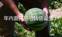 年內(nèi)首只翻倍轉(zhuǎn)債誕生！機(jī)器人板塊“牛債”橫出