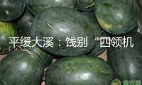 平緩大溪：餞別“四領(lǐng)機(jī)制”實(shí)干爭早春 共謀村莊復(fù)興新畫卷