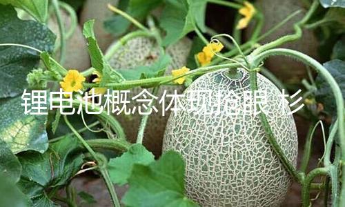 【51吃瓜朝陽區(qū)群眾今日吃瓜】池概鋰電池概念體現(xiàn)搶眼