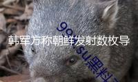 韓軍方稱朝鮮發(fā)射數(shù)枚導(dǎo)彈 朝方暫無(wú)回應(yīng)