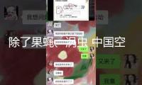 除了果蠅、渦蟲 中國空間站還有哪些“動物航天員”