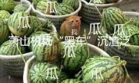 蕭山機(jī)場(chǎng)“黑車”沉渣泛起 記者暗訪：旅客遭層層“轉(zhuǎn)賣”