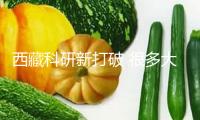 西藏科研新打破 很多大型真菌新種冷艷露臉