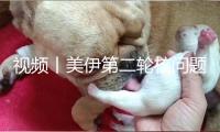 視頻丨美伊第二輪核問題直接商洽完畢 伊方稱“結果是建設性的”