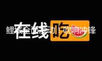 鯉城全面發(fā)動(dòng)！吹響沖鋒號(hào)！