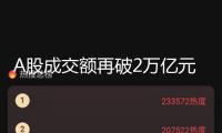 A股成交額再破2萬億元 農(nóng)業(yè)、航空板塊漲幅居前