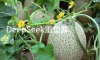DeepSeek重塑算力生態(tài) 國產(chǎn)算力迎新機會