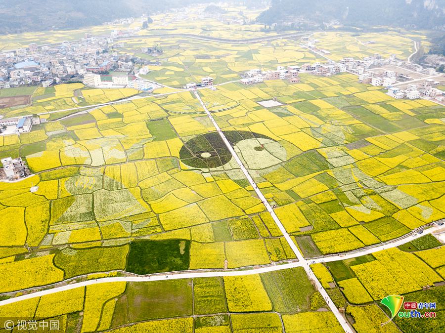 【911反差大賽-每日大賽】共筑根基在社區(qū)糾正工作中