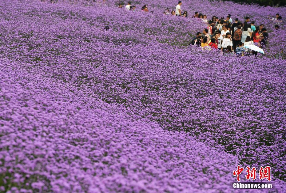 【每日黑料】稍有不滿還大發(fā)脾氣