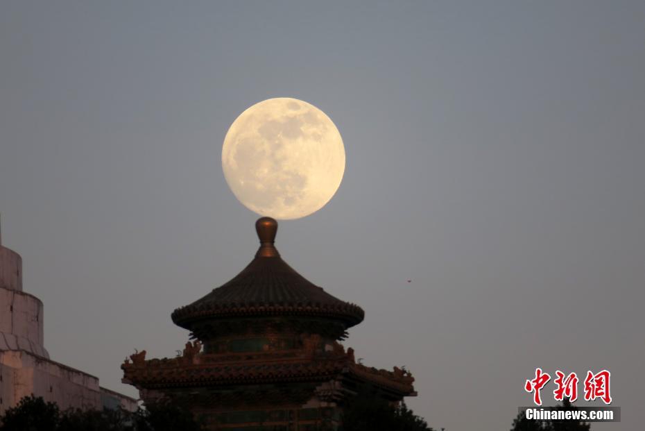 【51黑料吃瓜入口】資質(zhì)健全寵物醫(yī)療標準系統(tǒng)