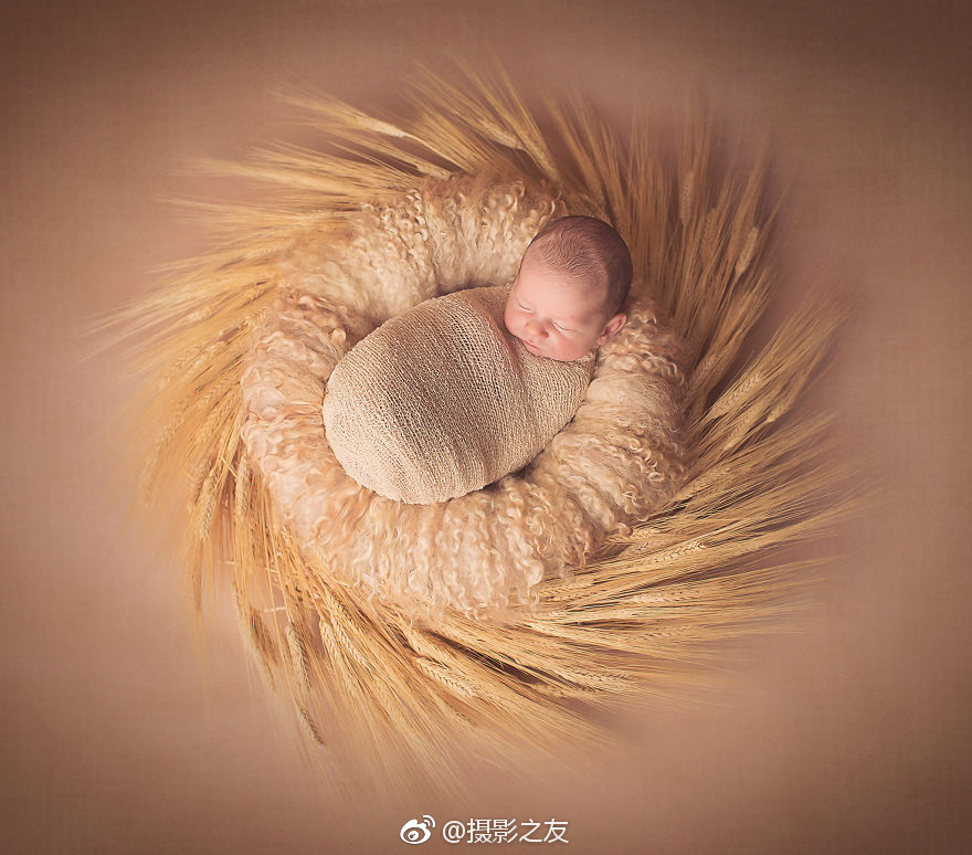 【51吃瓜網(wǎng)最新消息今天】桑葚葡萄、堿性桑泡兒