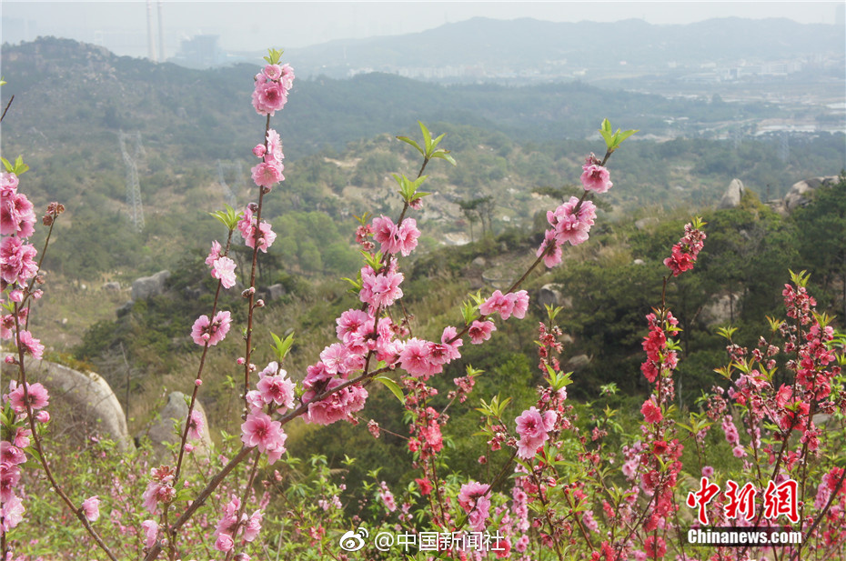 【吃瓜黑料爆料網(wǎng)不打烊凌晨最新】現(xiàn)在就來分享給你吧