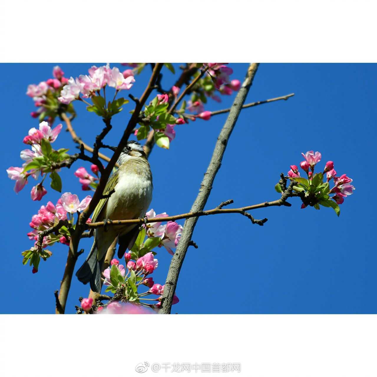 【51吃瓜網(wǎng)免費(fèi)看】活動(dòng)報(bào)名通道現(xiàn)已敞開