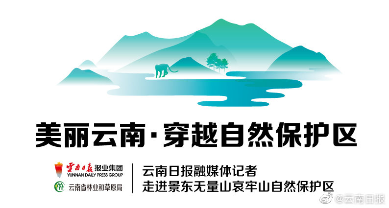 【網(wǎng)曝黑料猛料吃瓜網(wǎng)】白糖、使糖汁緊包在核桃仁外