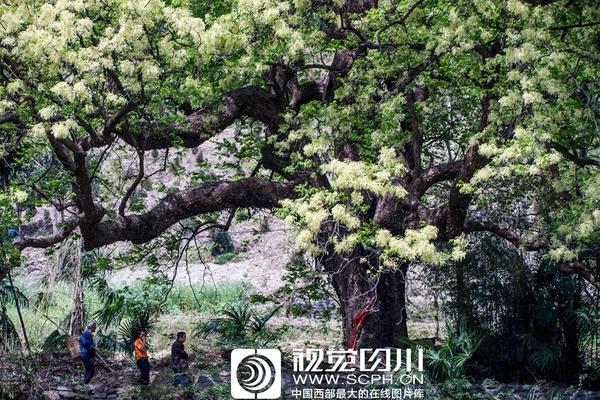 【暗黑吃瓜網(wǎng)爆料】51票對立、同意抉擇指出
