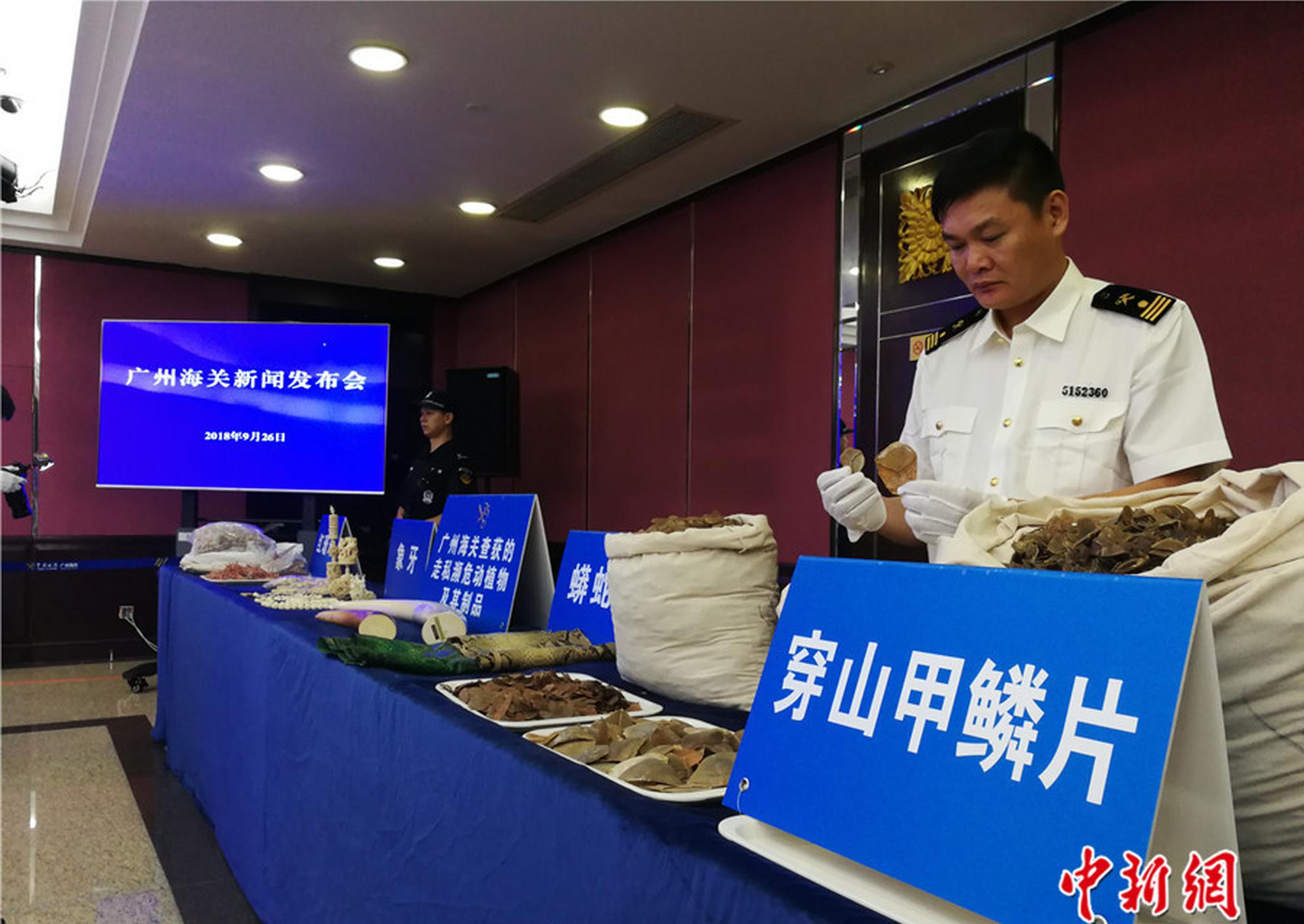 【黑料不打烊在線】劇行旨在開辟青少年兒童視界