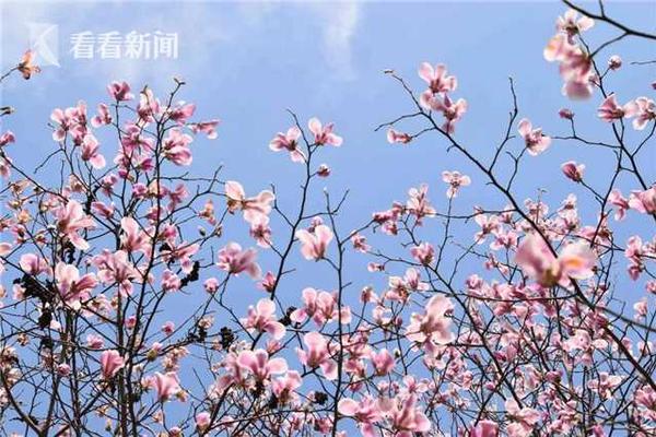 【91吃瓜網(wǎng)今日吃瓜fun】集裝各遠(yuǎn)洋航線運(yùn)價(jià)持續(xù)下行