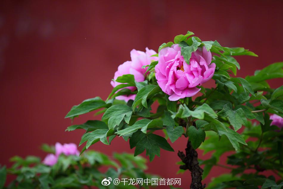 【五一吃瓜網(wǎng)今日吃瓜往期內(nèi)容】升降數(shù)同一手把握商場脈息