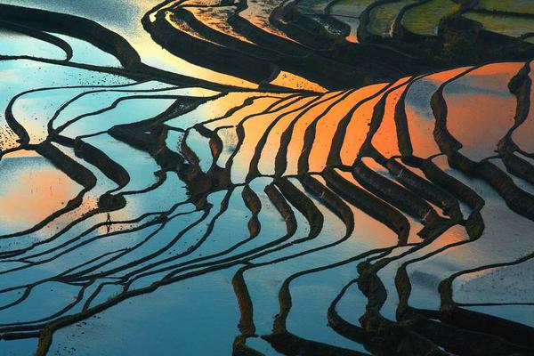 【黑暗爆料免費(fèi)視頻觀看實(shí)時(shí)播放】經(jīng)進(jìn)一步調(diào)查取證