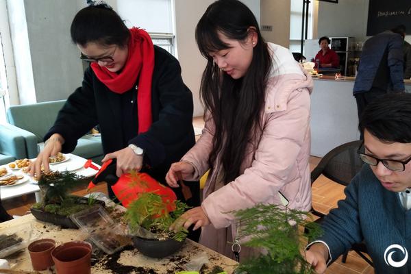 【免費吃瓜,每日更新】山楂、水果水果杏子