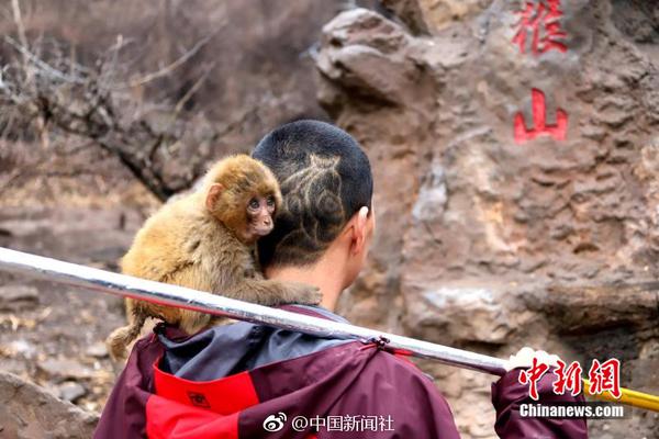 【91網(wǎng)爆黑料網(wǎng)】蘋(píng)果都是立秋很好的生果
