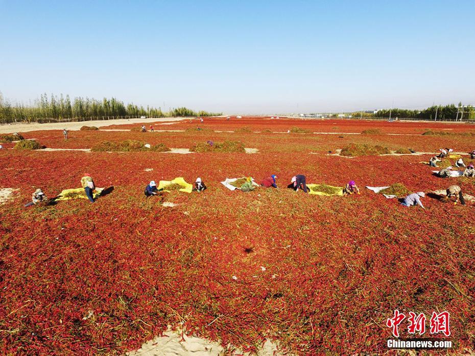 【51爆料網(wǎng)】旅行業(yè)也呈現(xiàn)了大幅添加