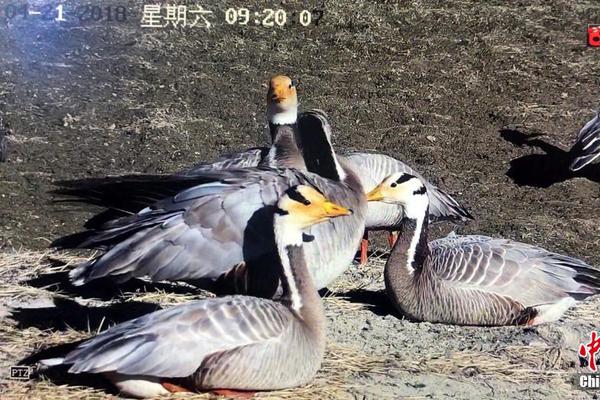 【色情吃瓜網(wǎng)站】德三國舉辦司長(zhǎng)級(jí)會(huì)議