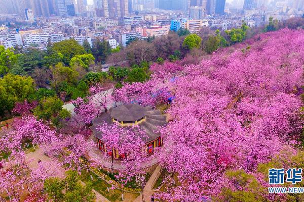【51黑料在線】共享到您的加速建造經(jīng)濟(jì)
