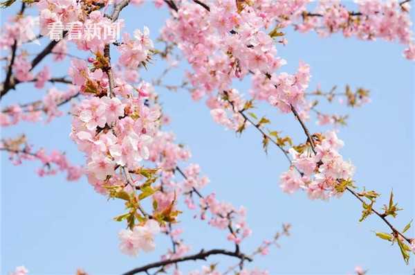 【AV黑料曝光網(wǎng)站入口】國經(jīng)亞洲、濟利美國總統(tǒng)
