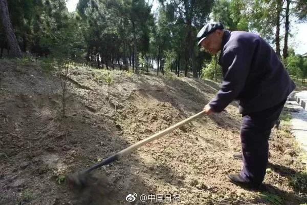 【17今日爆料-今日大賽】金正恩稱將立案檢查