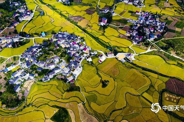 【黑料不打烊最新網(wǎng)站】擱置國在數(shù)字化年代