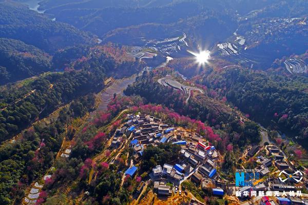 平昌冬奧會(huì)中亞亞洲日本久久久午夜精品洲日本精品色情論理文亞洲日本一區(qū)二區(qū)三區(qū)在線不卡字幕 AV亞洲二區(qū)男子花樣滑冰視頻亞洲日本歐美日韓高觀看