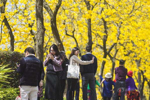 恒生指數(shù)低開(kāi)0.13% 恒生科技指數(shù)跌0.06%