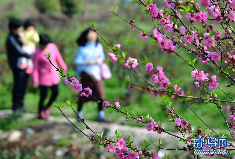 政策“組合拳國產(chǎn)國國產(chǎn)探花在線精品一區(qū)二區(qū)產(chǎn)熟女內射OOOO在線a國產(chǎn)熟人AV一二三區(qū)aa片一區(qū)二區(qū)99”助力中國經(jīng)濟向好向優(yōu)國產(chǎn)特黃級AAAAA片免