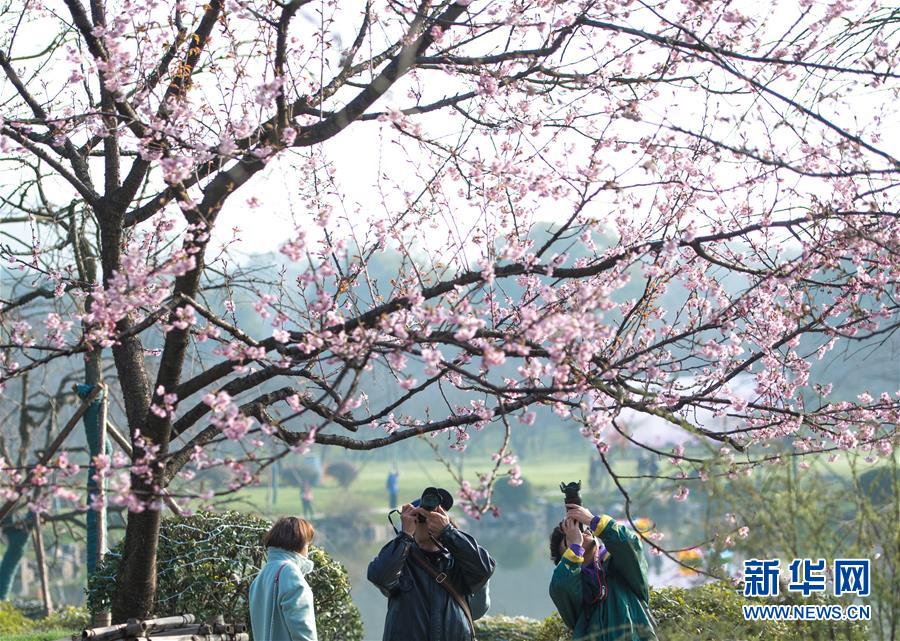 大孩和二孩同上一所學(xué)校，為何這么難？