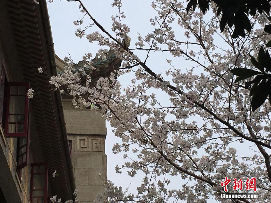 世界首臺(tái)低能量強(qiáng)流高電荷態(tài)重離子研究裝置通過(guò)驗(yàn)收