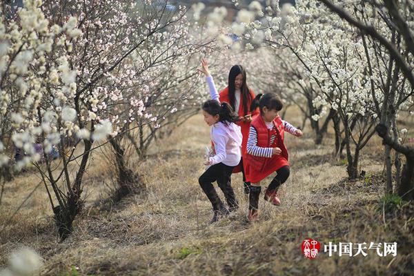 11月中國新能綜中文字幕亞洲亂碼熟女在線中文字幕亞洲無線碼萌芽合圖片亞洲網(wǎng)友自拍源乘用車市場零售同比增逾五成中文字幕亞洲歐美日韓2019中文字幕在線觀看亞洲日韓