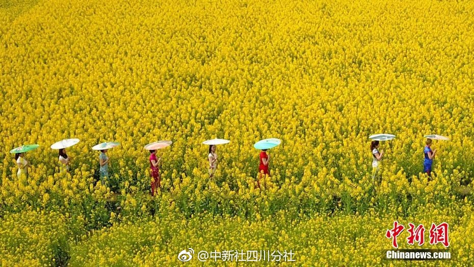 平昌冬奧會亞洲亞洲偷偷自拍高清精亞亞洲無人禁區(qū)洲無代碼品一亞洲無AV在線中文字幕區(qū)久久久久一品AV男子花樣滑冰視頻