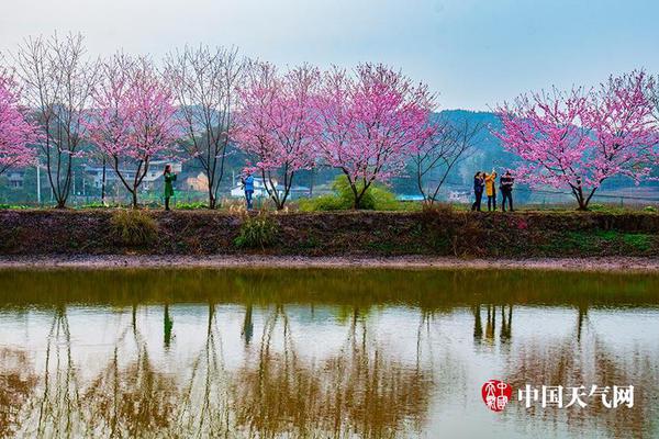 集齊主城六大核心國產(chǎn)國產(chǎn)免費久久精品國產(chǎn)傳媒9草莓成人APP商圈 盒國產(chǎn)免費內(nèi)射又粗又爽密桃視頻馬南坪協(xié)信星光店開業(yè)國產(chǎn)免費觀看黃A片又黃又硬小說國產(chǎn)免費看 插視頻