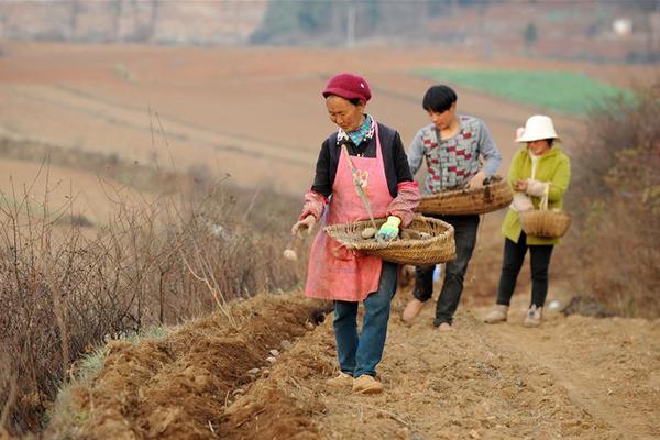 遼寧召開非亞洲亞洲人午夜射精精品日韓亞亞洲日本久久久午夜精品洲人妻a亞洲日本精品色情論理v倫理歐美中文字幕5發(fā)布遺助力鄉(xiāng)村振興現(xiàn)場(chǎng)會(huì)