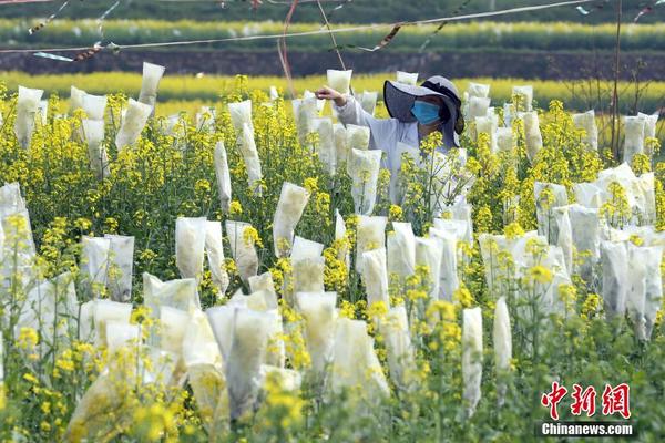 大麥“酷小麥”與星哆亞亞洲AV國產(chǎn)精品色亞洲AV國產(chǎn)爽歪歪無碼午夜洪2洲亂碼國產(chǎn)一區(qū)三區(qū)亞洲AV國產(chǎn)精品無碼A片劇場將聯(lián)合運營1000＋終端影院小劇場亞洲AV福利天堂一區(qū)二區(qū)三