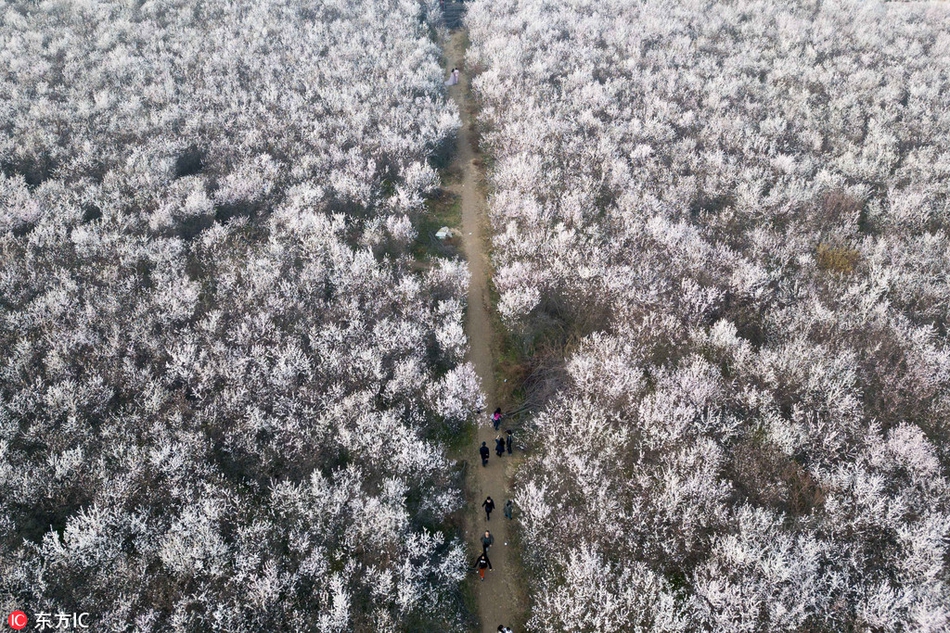 海上絲路指數(shù)：北美需求持續(xù)增加 綜合指數(shù)小幅上漲