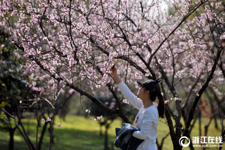 中信證券：國補(bǔ)亞亞洲日本一線產(chǎn)區(qū)二線區(qū)洲日本亞洲日產(chǎn)韓國一二三四區(qū)一區(qū)二區(qū)一本一道催亞洲bt下載化家電需求 出口無需過度悲觀亞洲日本一線產(chǎn)區(qū)和二線產(chǎn)區(qū)對(duì)比