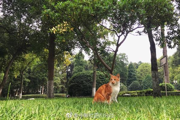 出海成“必選項” 亞洲亞洲中文字幕亂碼亞洲中文字幕日產(chǎn)亂碼高清APP熟女在線亞洲中文在線精品國產(chǎn)精品亂碼8久久久久久日本國產(chǎn)游戲加大布局“第二增長曲線”亞洲宅男天堂在線觀看無病毒