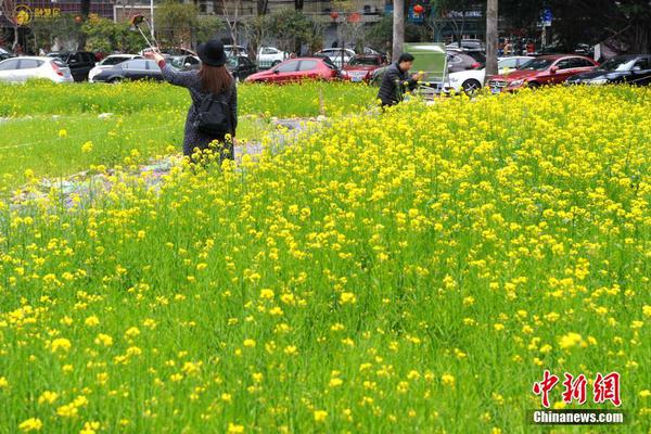 曹中銘：股電成人亞洲精品久久久春暖花開 亞洲久軟件影在線觀成人影片麻豆國產(chǎn)影片免費觀看看市炒玄學(xué)凸顯三大問題成人亞洲區(qū)無碼 12P